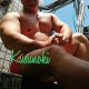 sehomeyu162DCD6D
