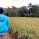 sejatiku7CF35F2F