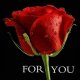 st4realC683A8A4